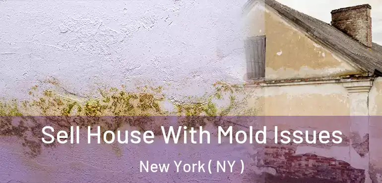  Sell House With Mold Issues New York ( NY )